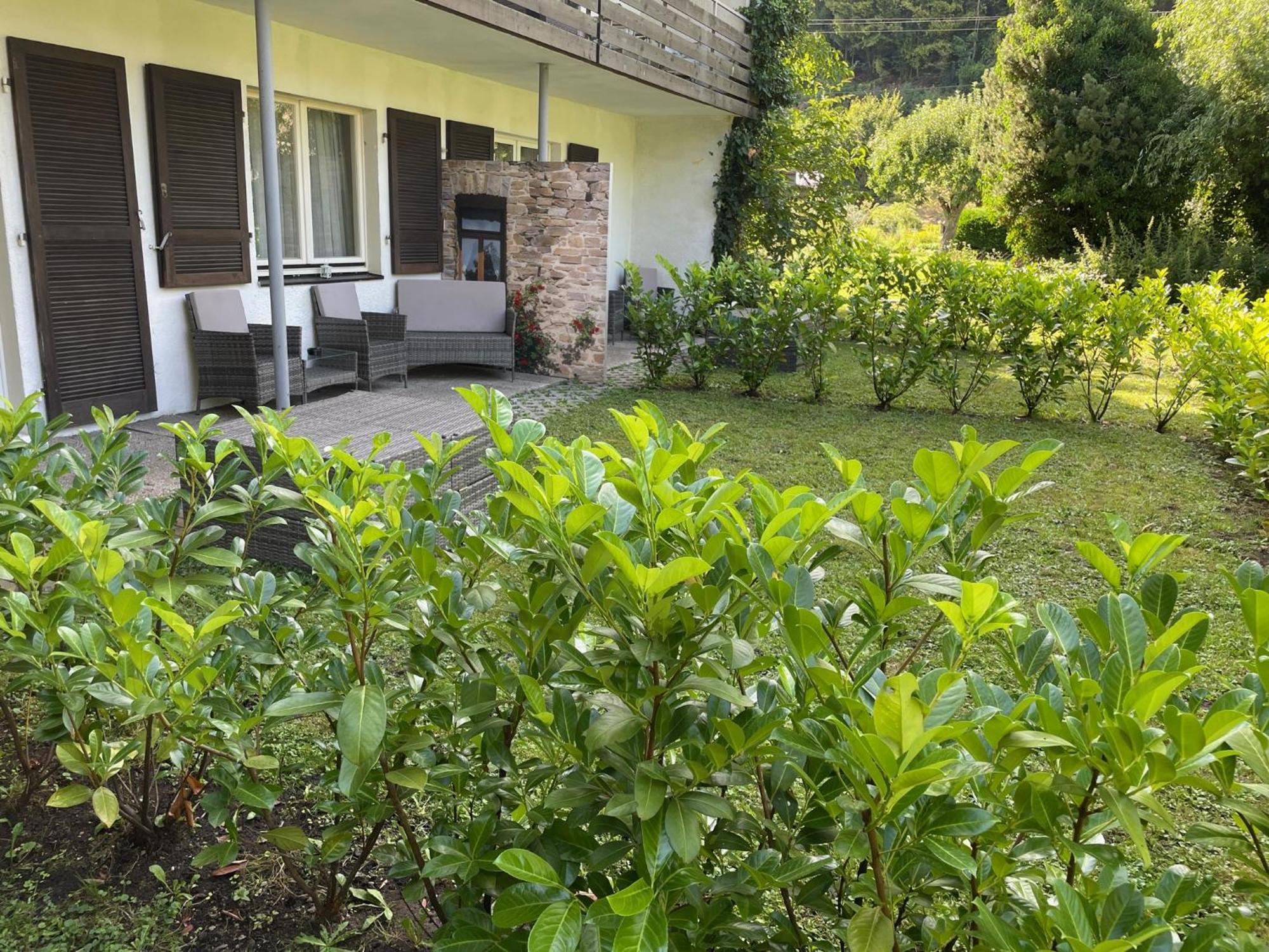 Münstertal Hotel Restaurant Adler Stube מראה חיצוני תמונה
