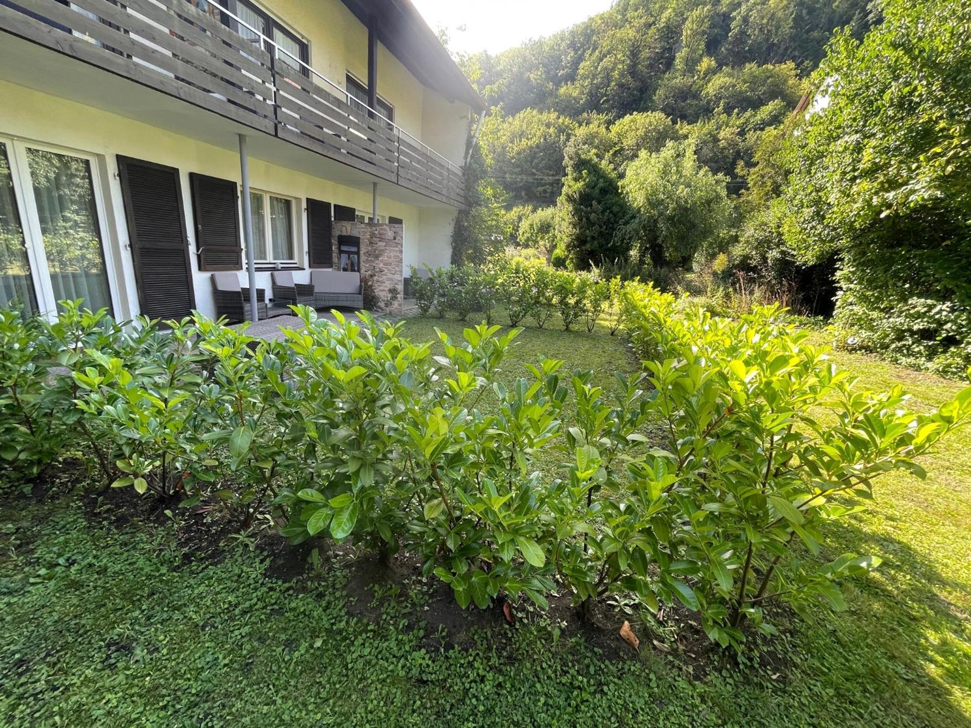 Münstertal Hotel Restaurant Adler Stube מראה חיצוני תמונה